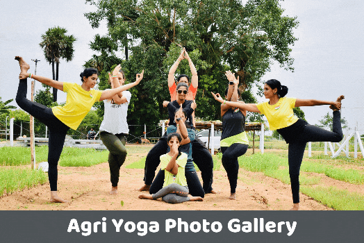 Online yoga classes Chennai